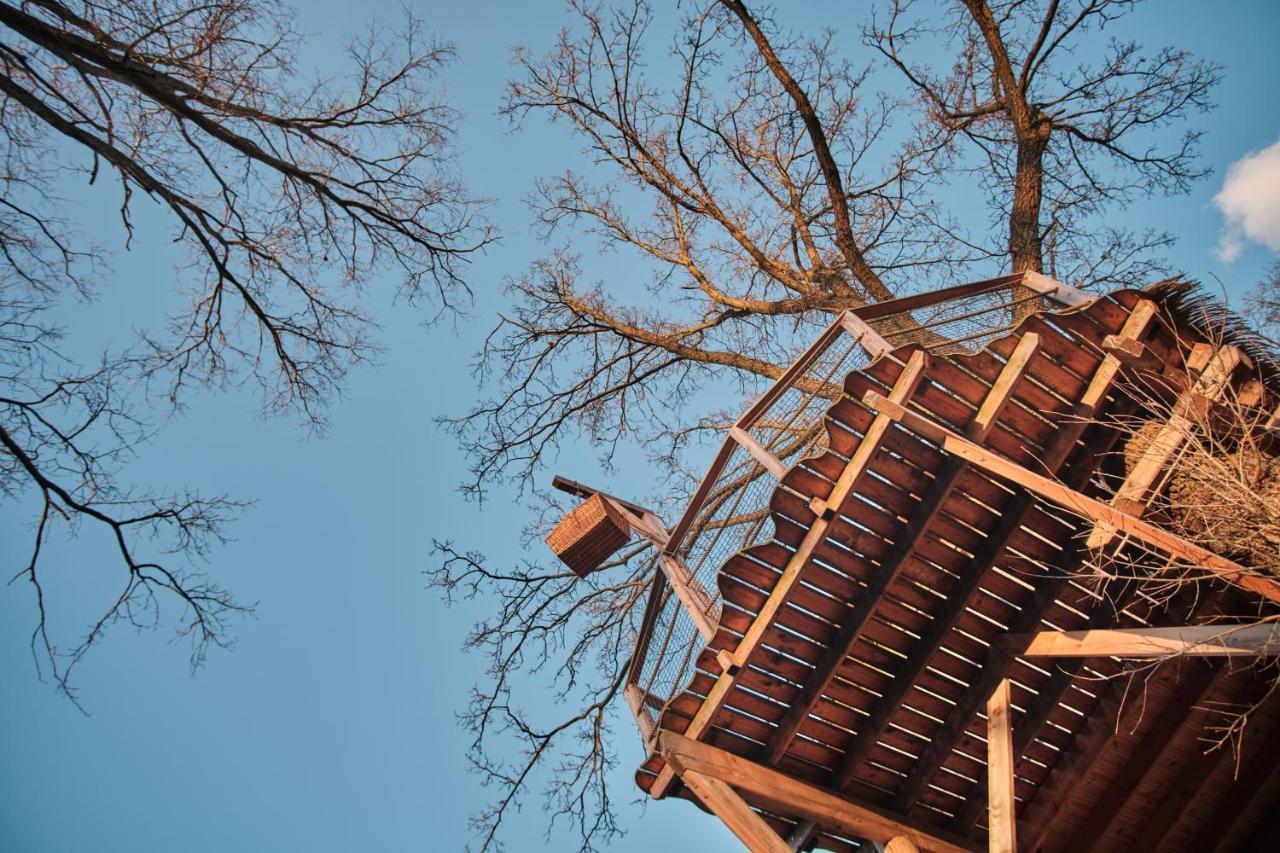 Treehouse Kremilek Villa Jesenice  Buitenkant foto